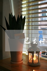 已支付全款房屋，開發(fā)商破產(chǎn)房產(chǎn)歸誰？